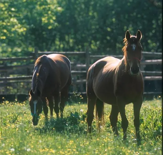 La Subida Ξενοδοχείο με διαμερίσματα Cormòns